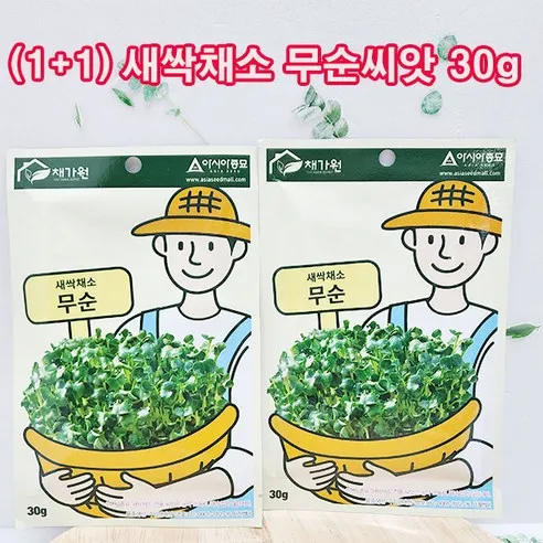 (샤인몰) 아시아종묘 (1+1) 무순씨앗 2개 무료배송/집에서 길러먹는 무농약 새싹 채소